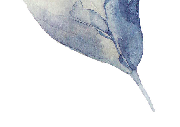 飘叶矢量素材