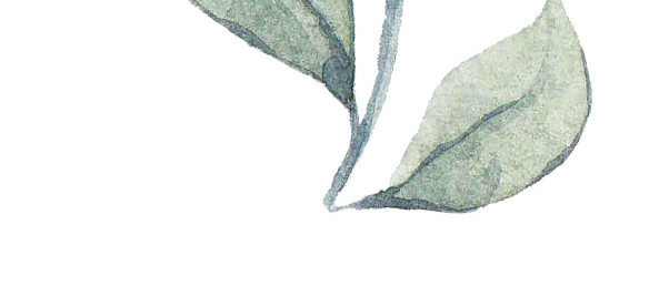 叶子矢量素材