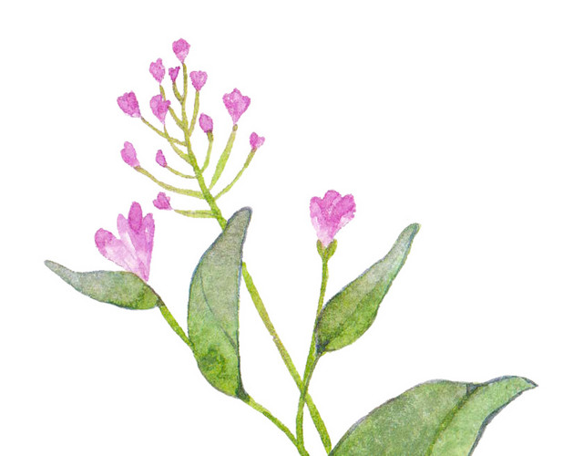 粉花绿叶矢量素材