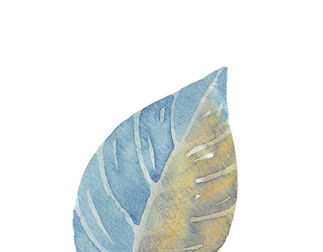 蓝褐色叶子矢量素材
