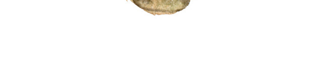 蘑菇矢量素材