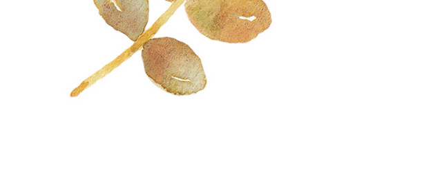 枯叶矢量素材