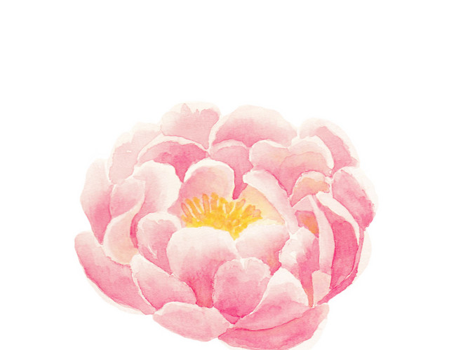 粉红色小花矢量素材
