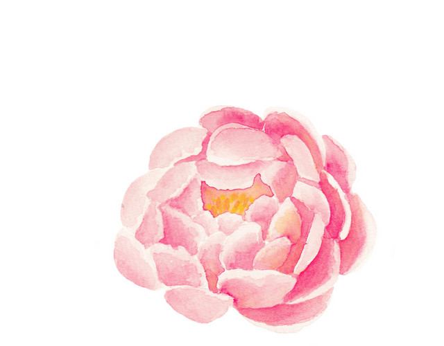 粉红色小花矢量素材