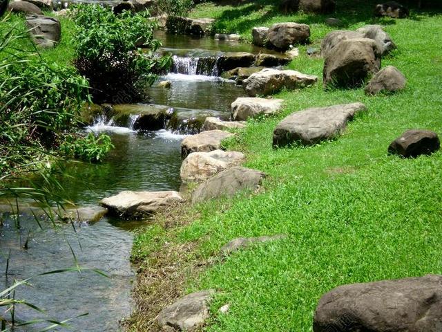 公园 流水 草地