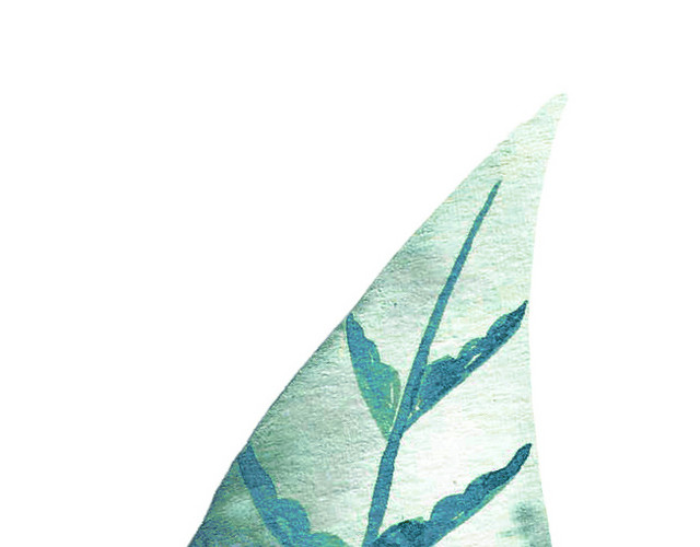一片叶子矢量素材