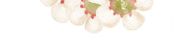 小白花矢量素材