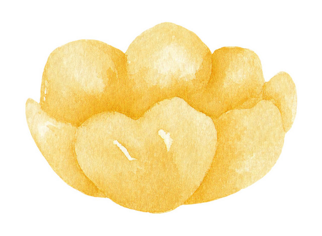 橙色小花矢量素材