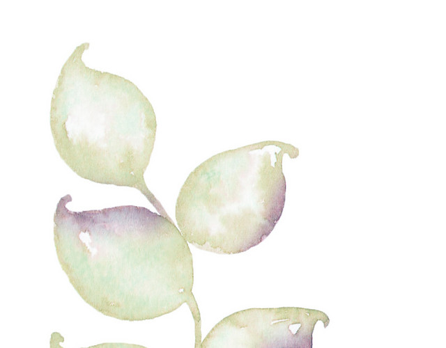 小叶片矢量素材
