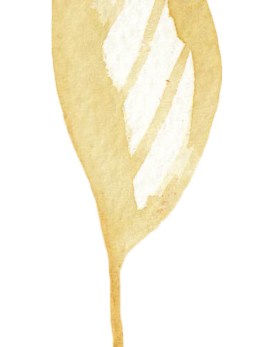 小叶子矢量素材