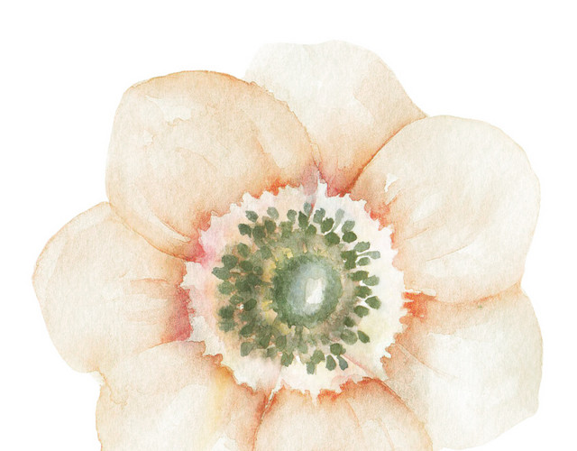 一朵花矢量素材
