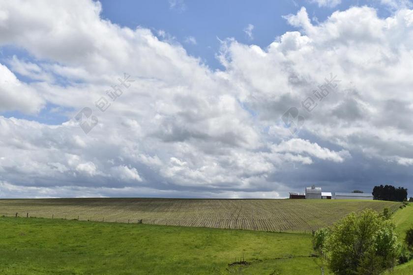 农田 美国农民 农业 农场 农民 户外 农村 原野 绿色增长