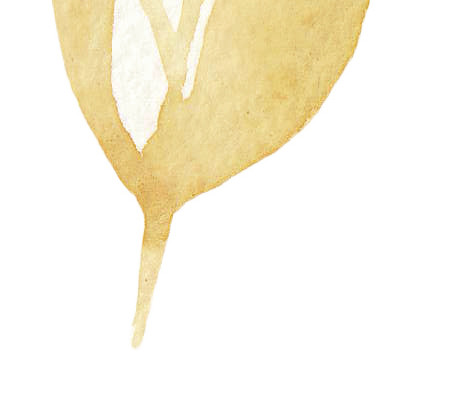 枯叶矢量素材