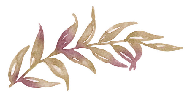枯草矢量素材