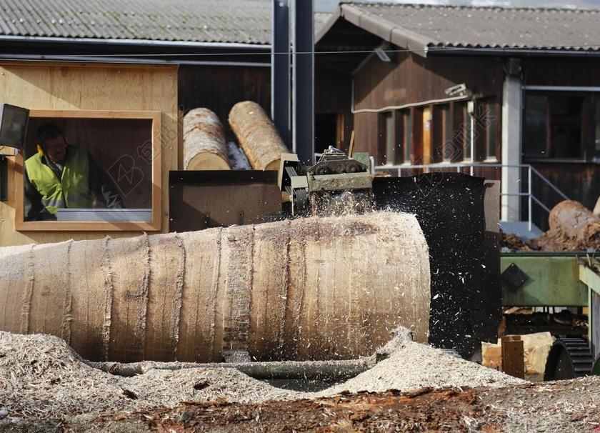 木 木工 锯木厂 树 吠