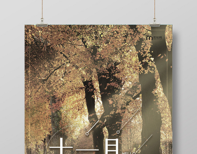 灰色简约十一月你好树林阳光海报