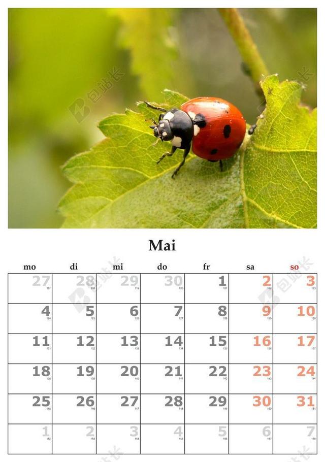 日历 个月 五月 2015 年 5 月