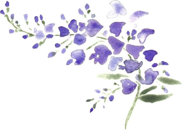 蓝色手绘花朵矢量图片