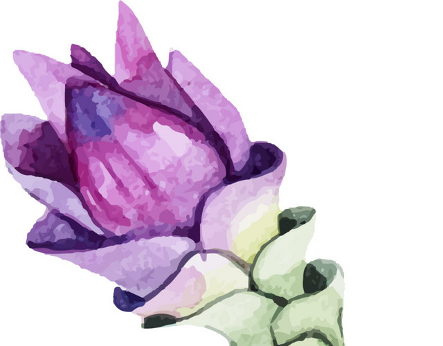 紫花束素材