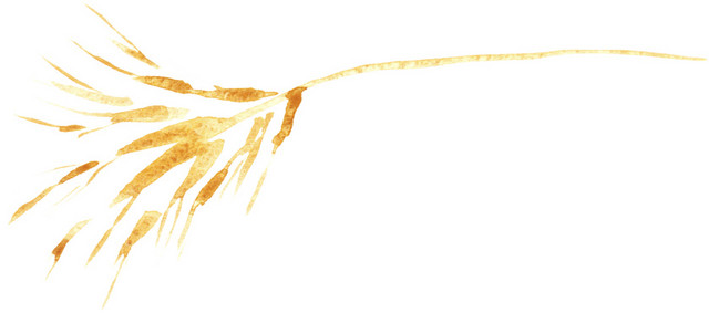 卡通花草手绘时尚插画