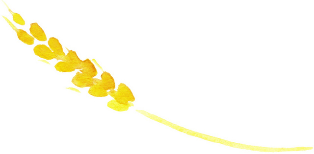 金色手绘稻草矢量图片