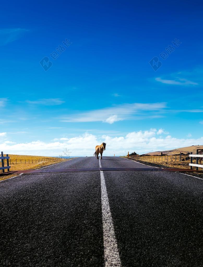 摄影唯美户外公路景色背景图片