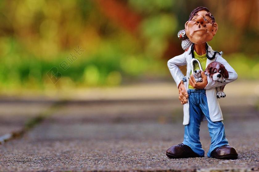 物品摆放兽医动物背景图片