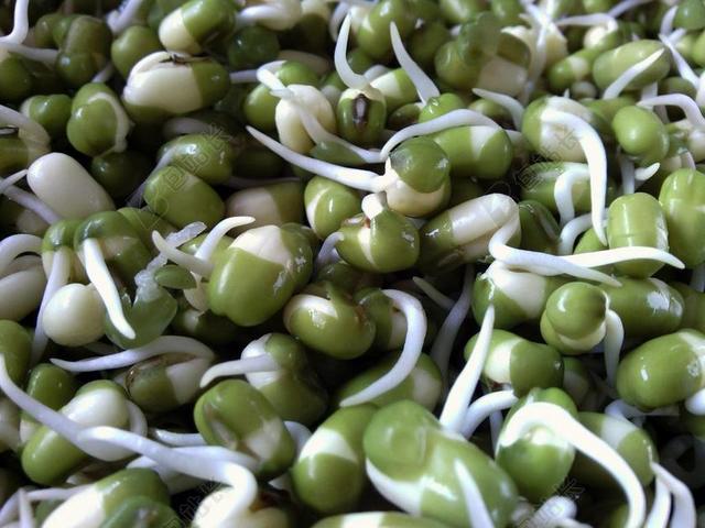 种子 纹 厂 豆芽 坚果 豆豆 青豆 树苗 关闭