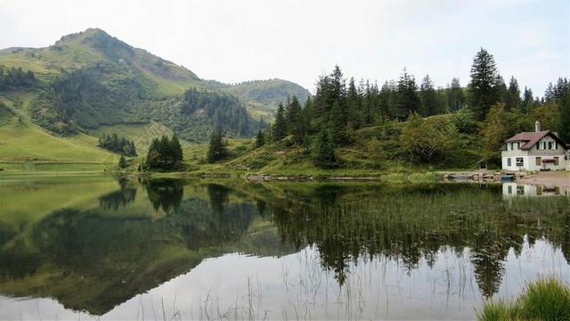湖 瑞士 阿尔卑斯山 景观 山 反思 风景 高山