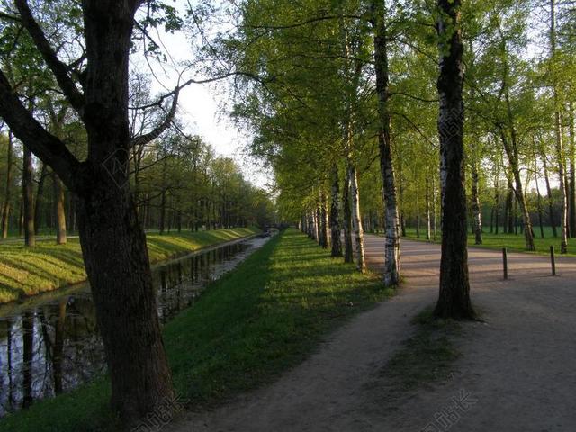旅游自然户外公园景色背景图片
