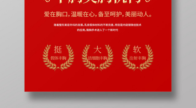 自信女神丰胸美胸机构宣传海报