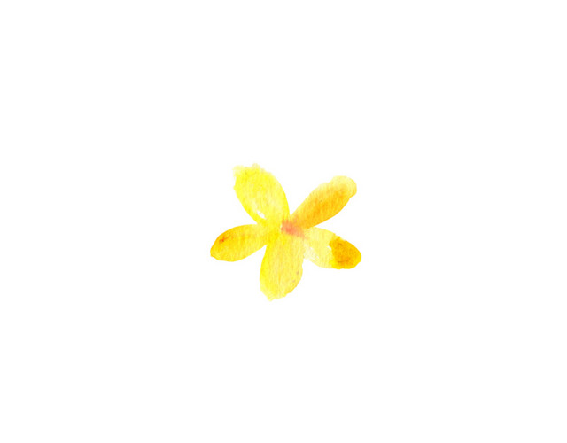 彩色卡通手绘植物花朵矢量插画