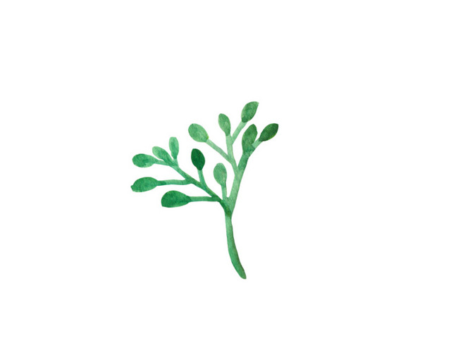 彩色卡通手绘植物矢量插画