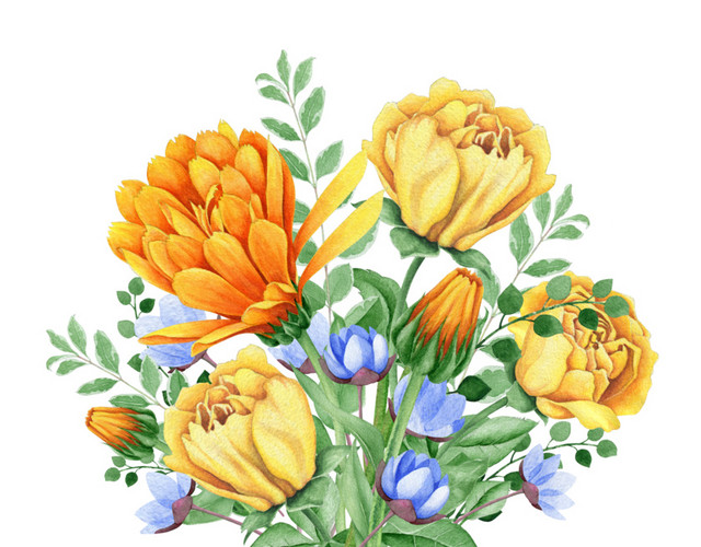 彩色小清新卡通植物花朵水彩插画
