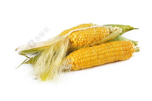 玉米 自然 成熟 收获 秋天 食品 素 黄金 黄色