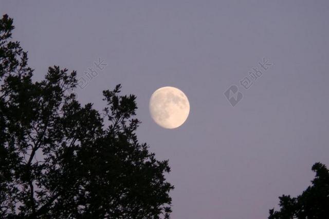 月亮 黑暗 日落 夜 光 天空 月光 空间 占星术 晚上