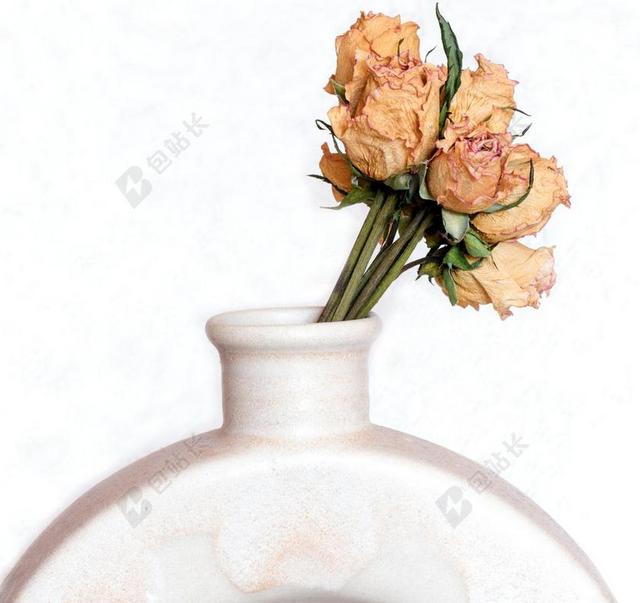 广告时尚干花玫瑰插花背景图片