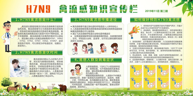 绿色清新风格预防禽流感知识宣传栏展板