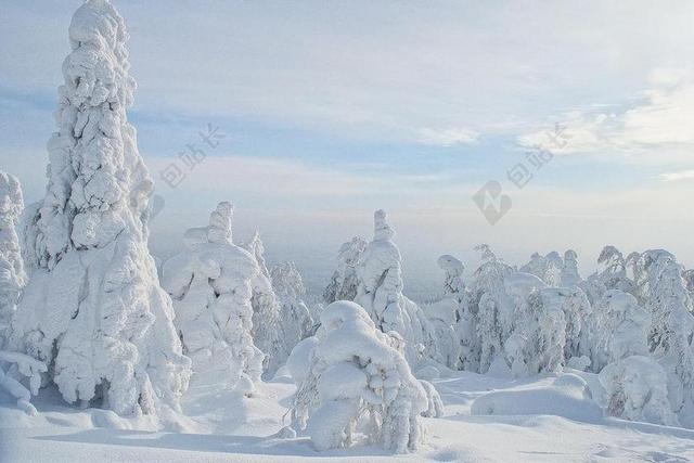 冬季 俄罗斯 雪 冰 森林 冷 FRAZIL 性质