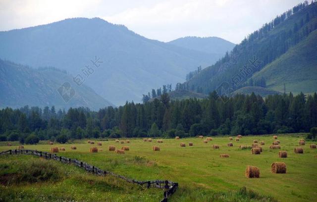 阿尔泰山 景观 山 性质 天空 夏季 西伯利亚 树木 旅游