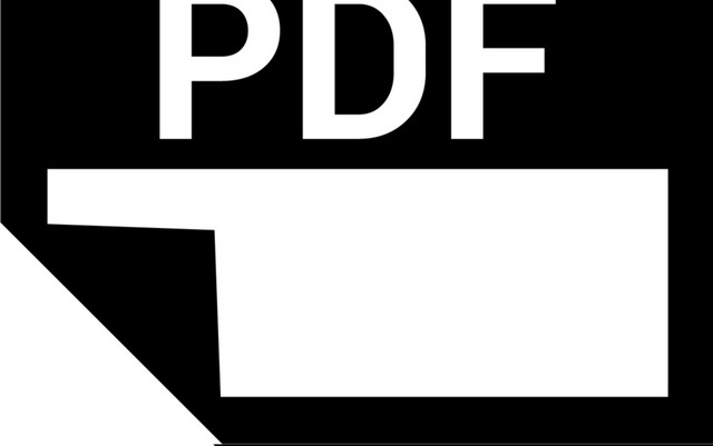 黑白简约商务PDF图标