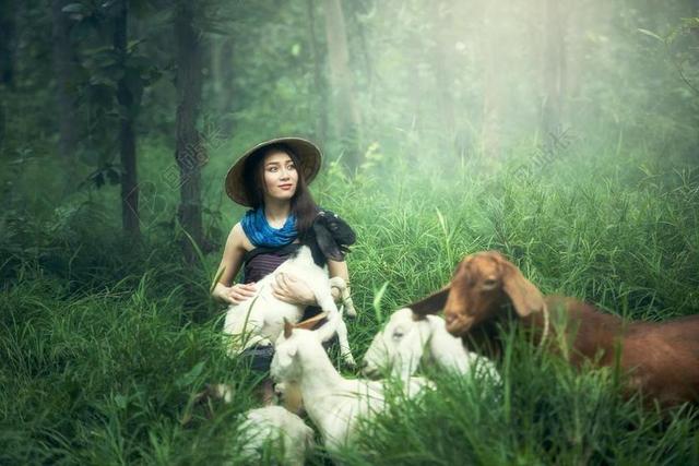 摄影唯美女人与家畜背景图片