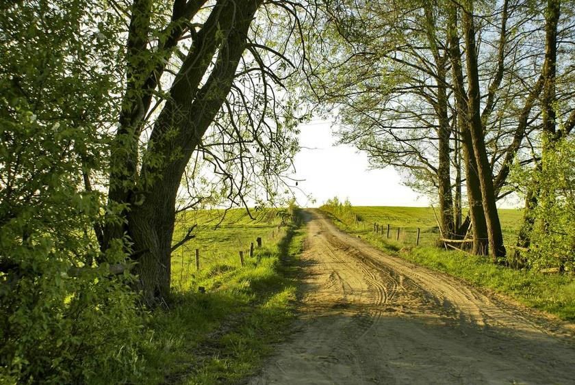 自然春天乡村的泥土道路背景图片