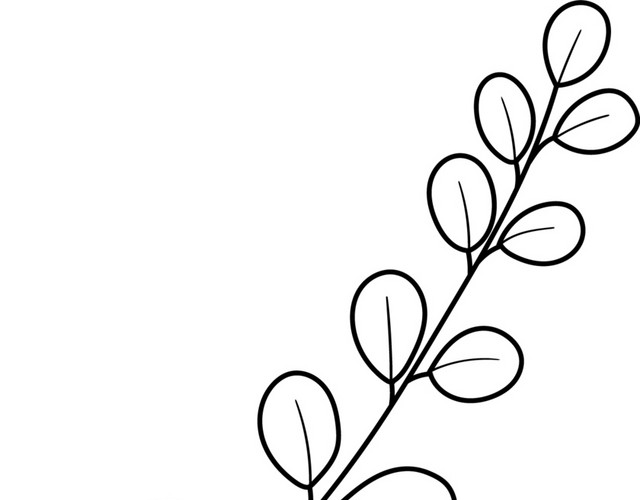 卡通植物线条素材