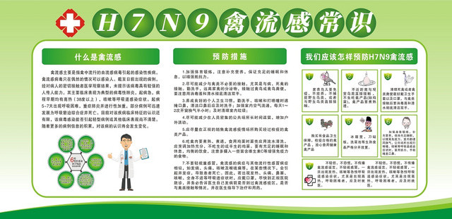 预防流感健康绿色创意简约展板宣传栏