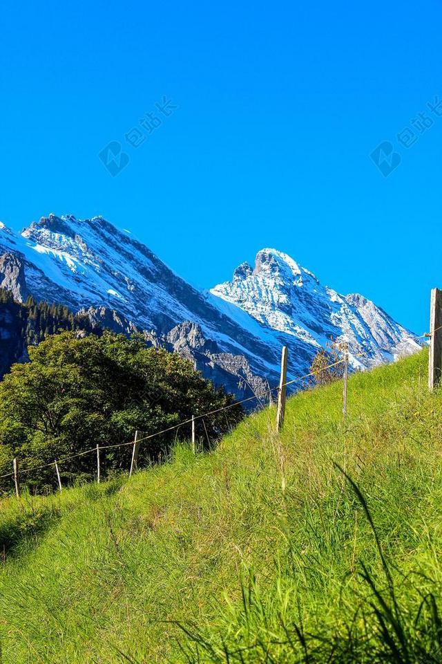 山 景观 性质 瑞士 阿尔卑斯山 斜坡 孤独的高峰 岩 高度
