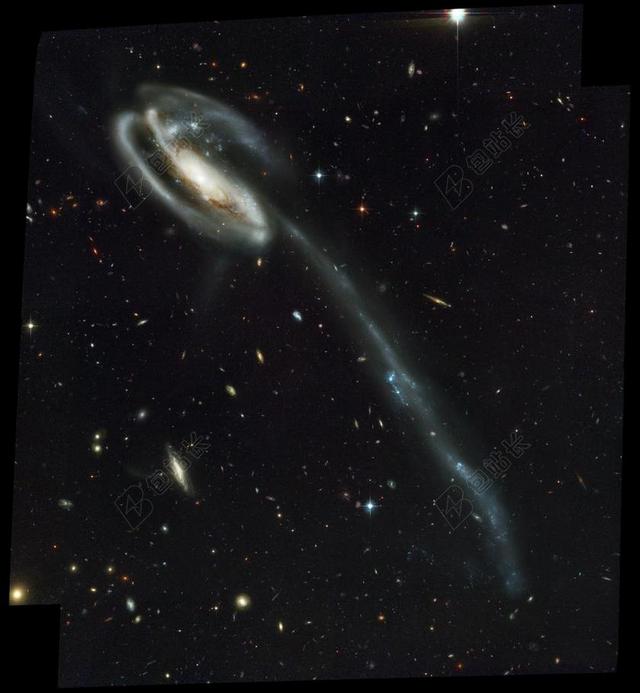 银河 蝌蚪 中断 禁止 螺旋 光明 蓝色 明星 集群 径