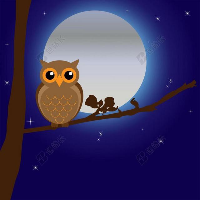 猫头鹰 鸟 动物 树 枝杈 夜 月亮 月光 艺术 可爱