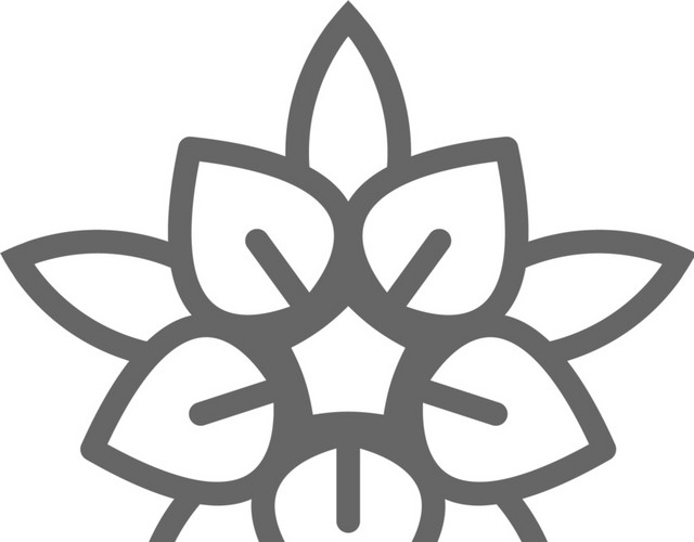 灰色花朵素材