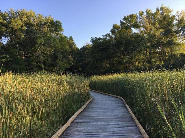 旅游自然韦斯特伍德山自然中心背景图片